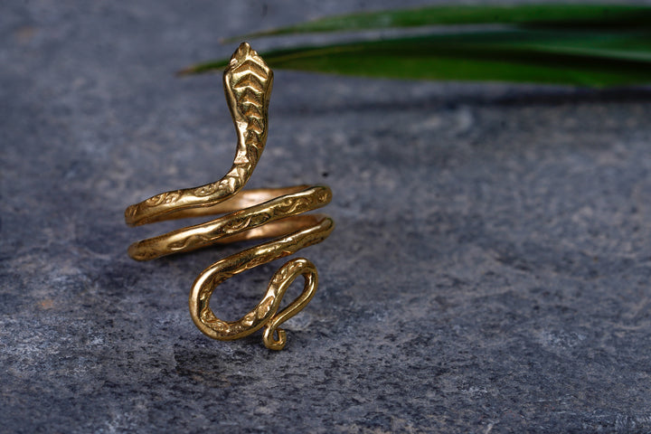 Ring ~ Serpent Mama ~ brass